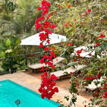 Mediterraneo Suites Пуэрто-Игуасу Экстерьер фото
