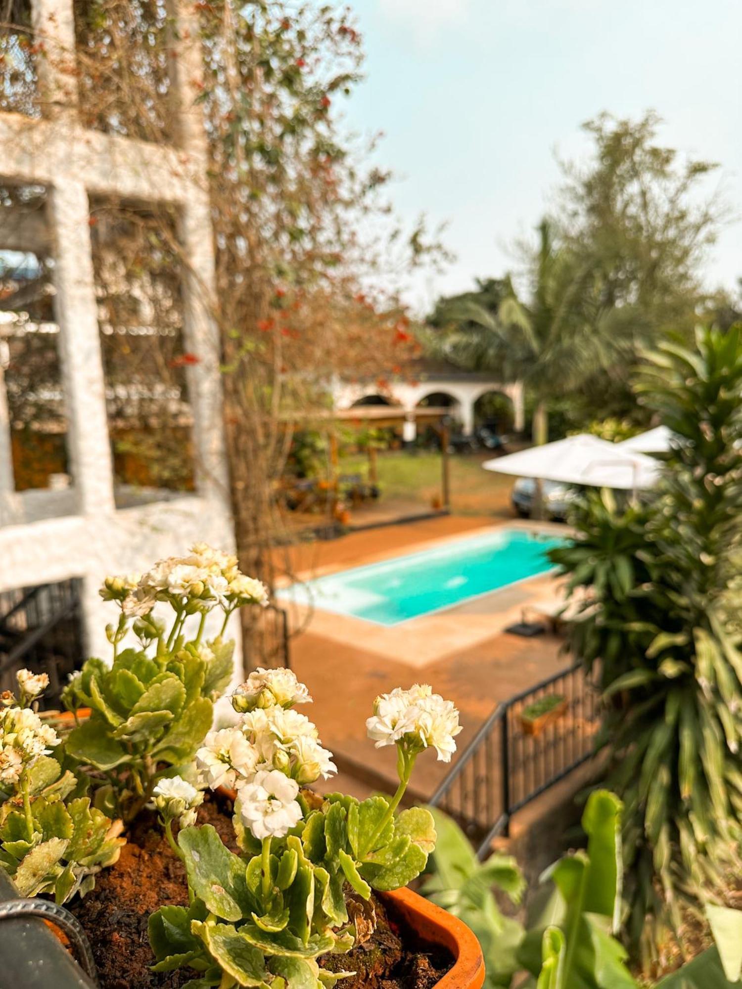 Mediterraneo Suites Пуэрто-Игуасу Экстерьер фото